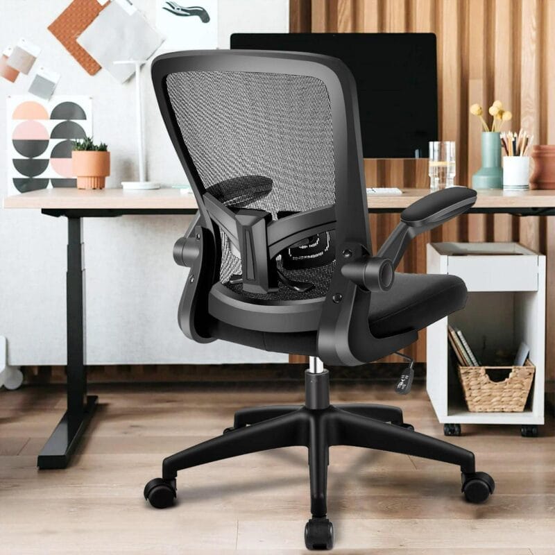 Coolhut Ergonomic Office Chair, Task Chair, Comfort Desk Chair with Adjustable Lumbar Support and Flip up Arms, 300lb, Black