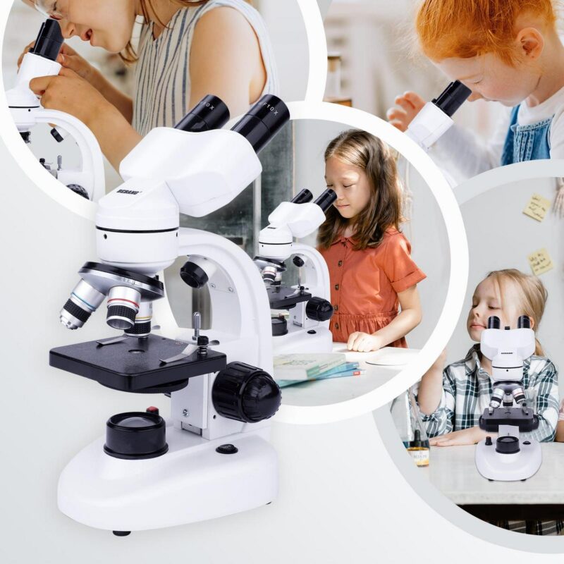 BEBANG Compound Binocular Microscope, 40X-1000X Dual LED Illumination, with 10X and 25X Eyepiece and Phone Adapter - Image 4
