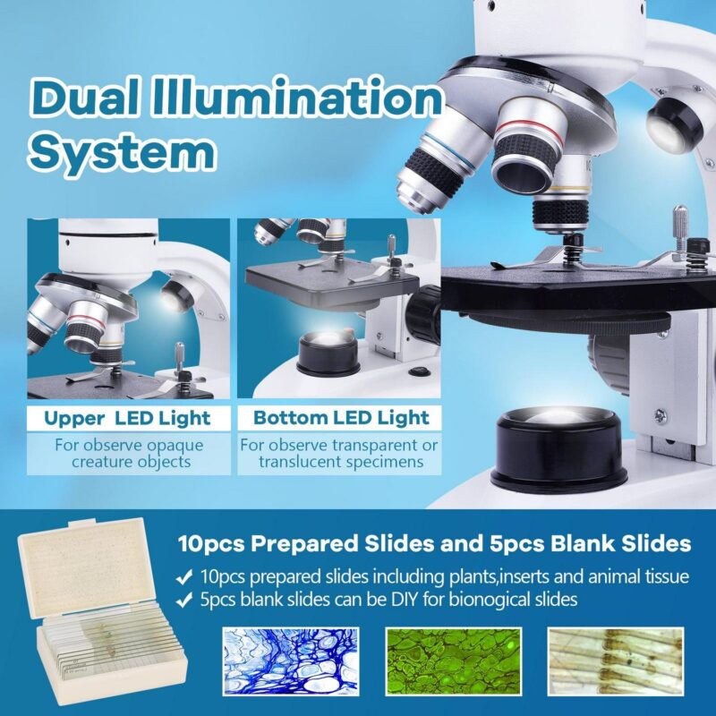 BEBANG Compound Binocular Microscope, 40X-1000X Dual LED Illumination, with 10X and 25X Eyepiece and Phone Adapter - Image 7