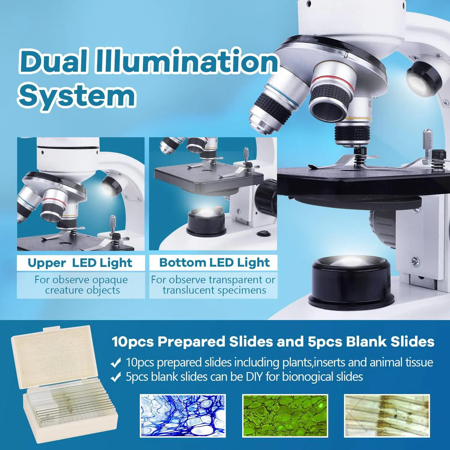 BEBANG Compound Binocular Microscope, 40X-1000X Dual LED Illumination, with 10X and 25X Eyepiece and Phone Adapter 7 BEBANG Compound Binocular Microscope, 40X-1000X Dual LED Illumination, with 10X and 25X Eyepiece and Phone Adapter - Image 7