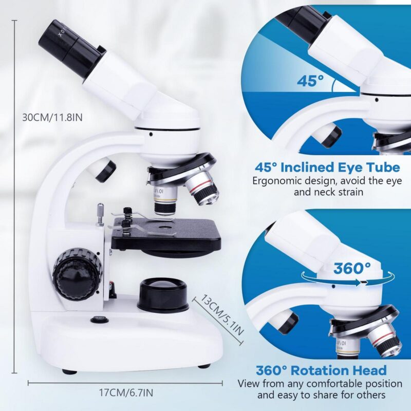BEBANG Compound Binocular Microscope, 40X-1000X Dual LED Illumination, with 10X and 25X Eyepiece and Phone Adapter - Image 2