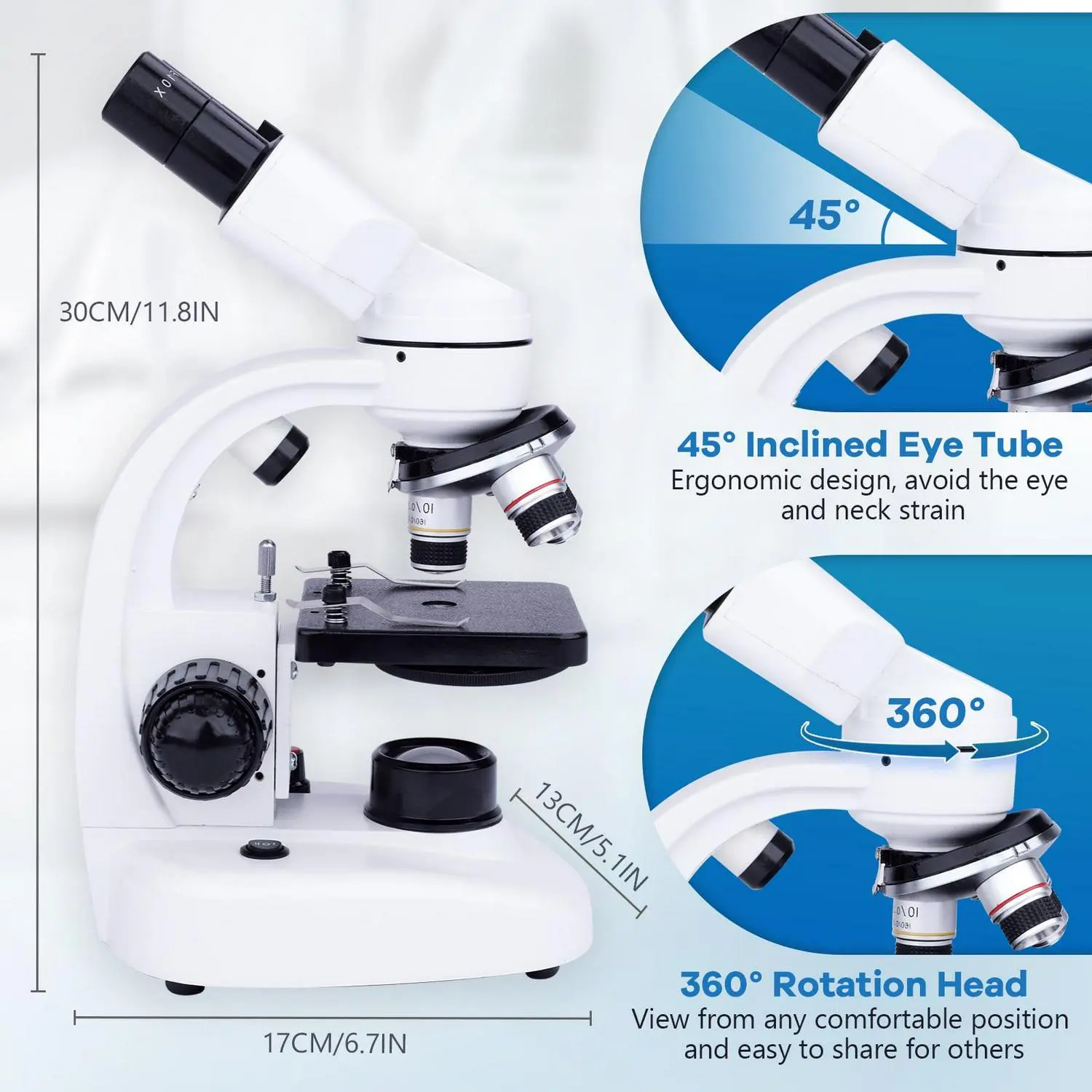 BEBANG Compound Binocular Microscope, 40X-1000X Dual LED Illumination, with 10X and 25X Eyepiece and Phone Adapter 2 BEBANG Compound Binocular Microscope, 40X-1000X Dual LED Illumination, with 10X and 25X Eyepiece and Phone Adapter - Image 2