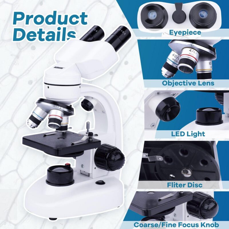 BEBANG Compound Binocular Microscope, 40X-1000X Dual LED Illumination, with 10X and 25X Eyepiece and Phone Adapter - Image 3