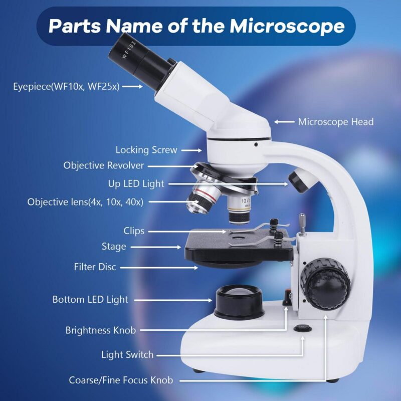 BEBANG Compound Binocular Microscope, 40X-1000X Dual LED Illumination, with 10X and 25X Eyepiece and Phone Adapter - Image 5