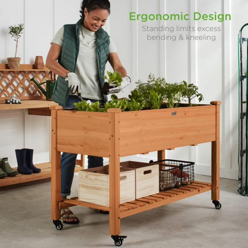 Best Choice Products Raised Garden Bed 48x24x32in Wood Mobile Elevated Planter w/ Wheel Locks, Shelf, Liner - Acorn Brown - Image 2