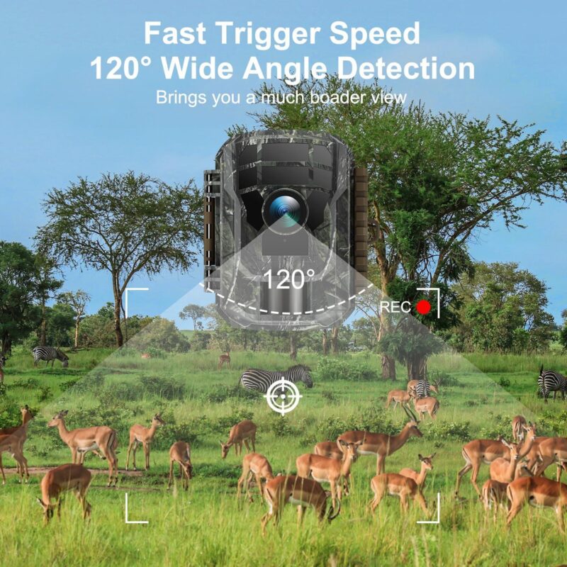 CAMPARK 2 Pack Trail Camera 36MP 2K Game Hunting Deer Camera Night Vision Waterproof Motion Activated - Image 8