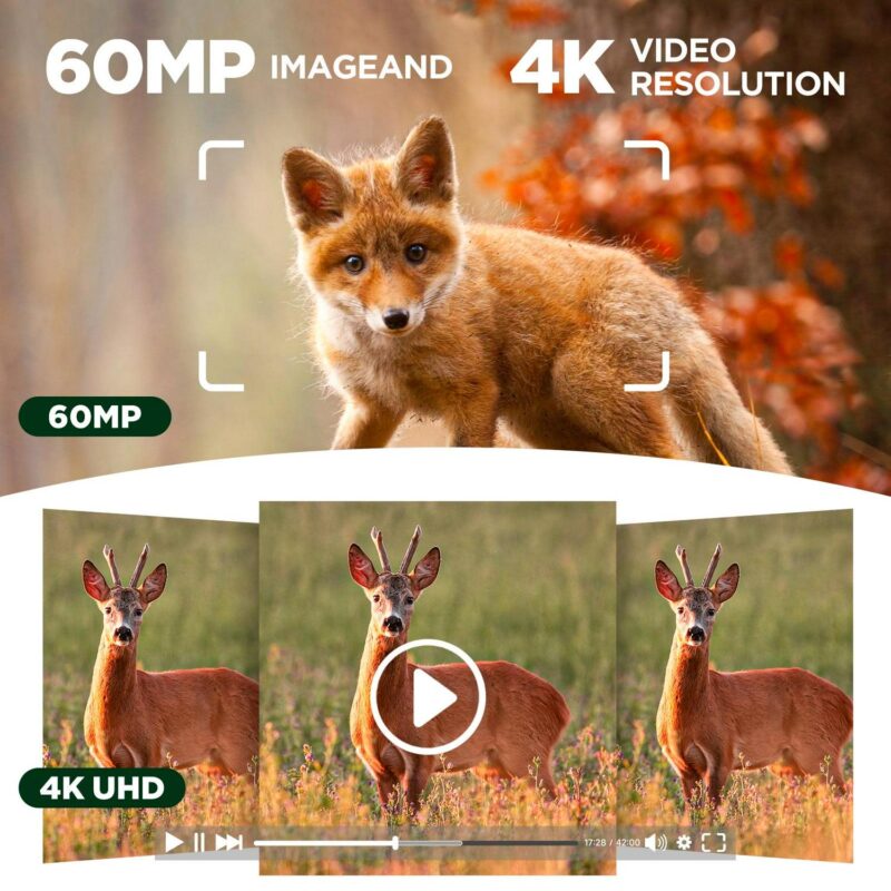 CAMPARK Solar Powered Trail Camera WiFi Bluetooth 60MP 4K UHD Dual Lens Starlight Night Vision IMX458 Sensors 0.1s Motion Activated IP66 Waterproof 2.4 LCD Game Hunting Camera with SD Card - Image 7