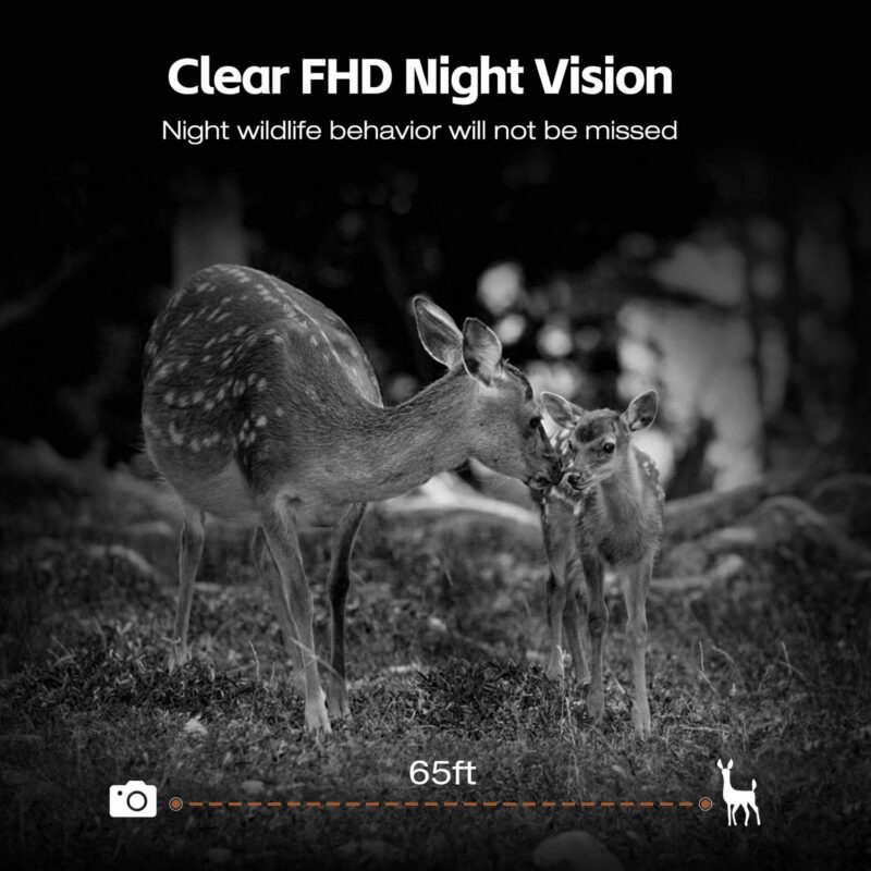 CAMPARK Solar Powered Trail Camera 48MP 4K Hunting Game Camera with Night Vision Motion Activated Waterproof IP66 Loop Recording 0.1s Trigger Time Deer Trail Cam Built-in 2000mAh Battery - Image 5