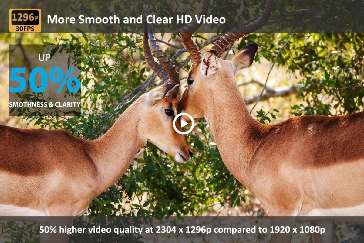 CAMPARK T75 Wifi Bluetooth Trail Camera with SD Card 20MP 1296P Game Hunting Camera with Night Vision Waterproof IP66 Motion Activated Outdoor Trail Deer Cam for Wildlife Monitoring 2.4  LCD Screen - Image 4