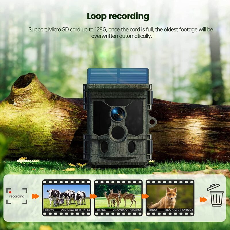 CAMPARK Trail Camera Solar Powered 46MP Native 4K 30fps WiFi Bluetooth Game Camera with Loop Recording 0.1s Trigger Hunting Deer Trail Cam with Night Vision IP66 Waterproof for Wildlife Monitoring - Image 9