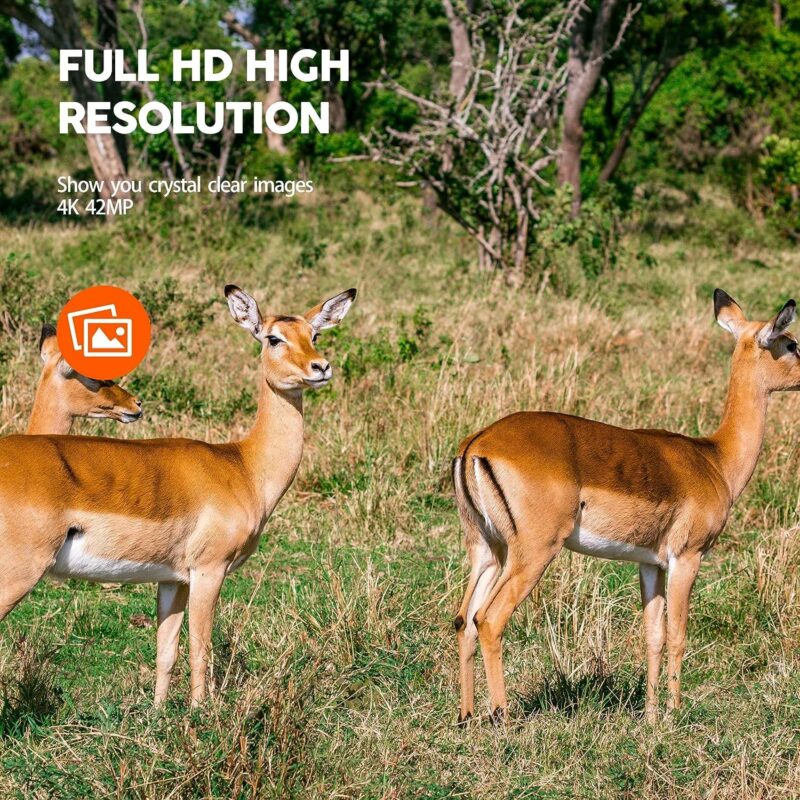 CAMPARK Trail Camera 4K 42MP Game Hunting Camera with Low Glow Night Vision IP56 Waterproof Motion Activated Outdoor Trail Deer Cam for Wildlife Monitoring 2.4  LCD Screen - Image 3
