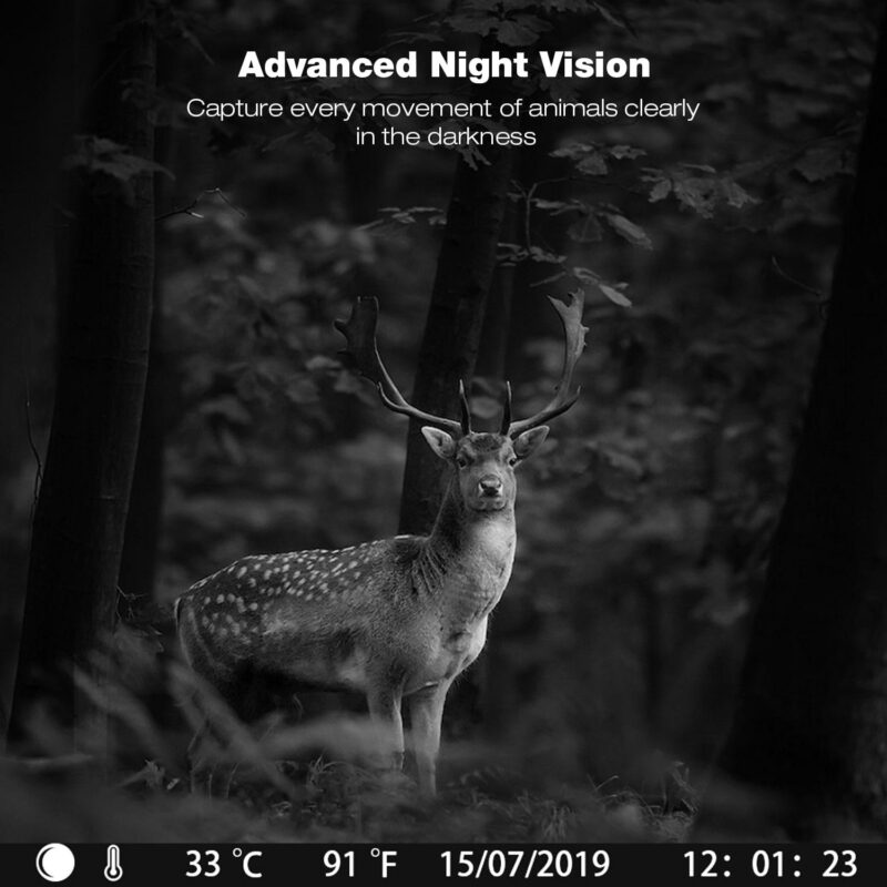 CAMPARK Trail Camera 4K 42MP Game Hunting Camera with Low Glow Night Vision IP56 Waterproof Motion Activated Outdoor Trail Deer Cam for Wildlife Monitoring 2.4  LCD Screen - Image 5