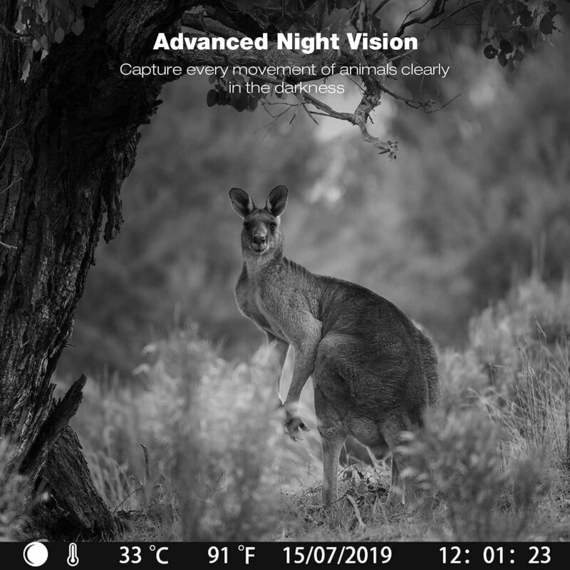 CAMPARK Trail Camera with SD Card 4K 42MP Deer Hunting Game Camera with Infrared Night Vision Fast Trigger Time Motion Activated Waterproof IP66 120A Wide Angel 2.4  LCD Trail Wildlife Camera - Image 5