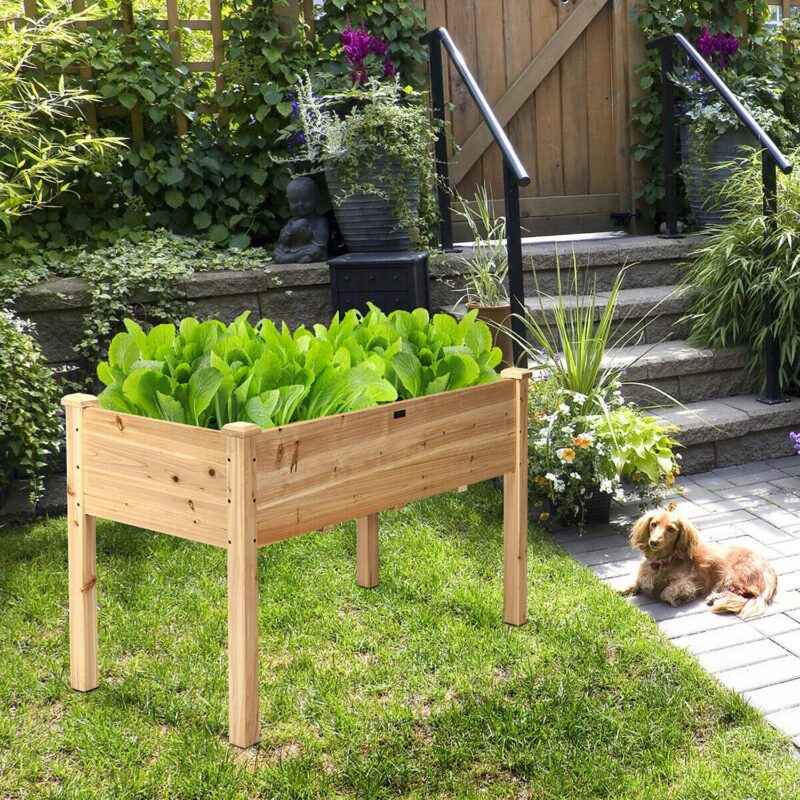 Costway Wooden Raised Vegetable Garden Bed Elevated Grow Vegetable Planter Natural - Image 2
