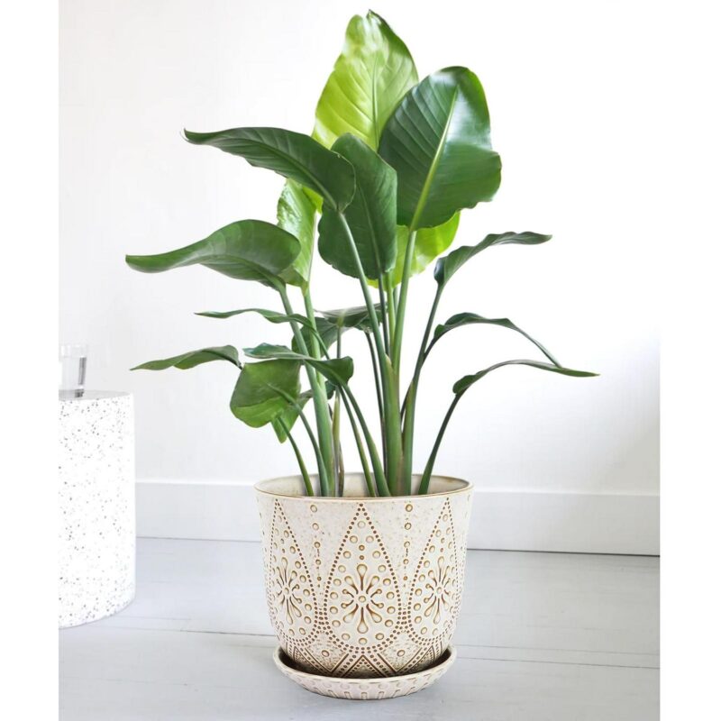 Gepege 10 Inch Plant Pot, Ceramic Planter with Drainage Holes and Saucers for Indoor Plants, Large Outdoor Flower Pot Garden Pot - Image 2
