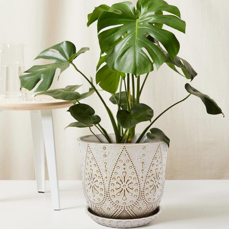 Gepege 10 Inch Plant Pot, Ceramic Planter with Drainage Holes and Saucers for Indoor Plants, Large Outdoor Flower Pot Garden Pot - Image 6