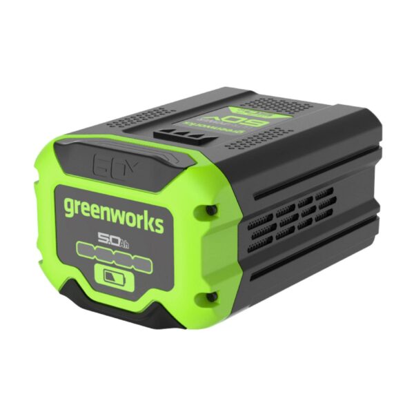 Greenworks 60V 5 0 A 248771191530334f9940a28c6ade07a3