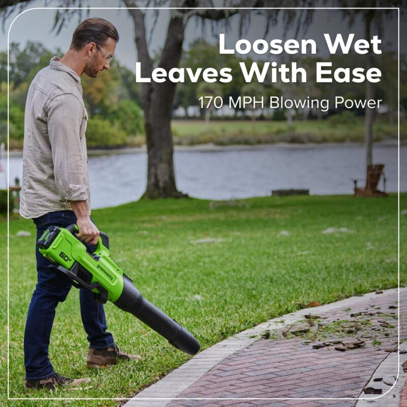 Greenworks 60V 630 CFM 170 MPH Leaf Blower with 2.5 Ah Battery and 3 Amp Charger 2429902 - Image 6