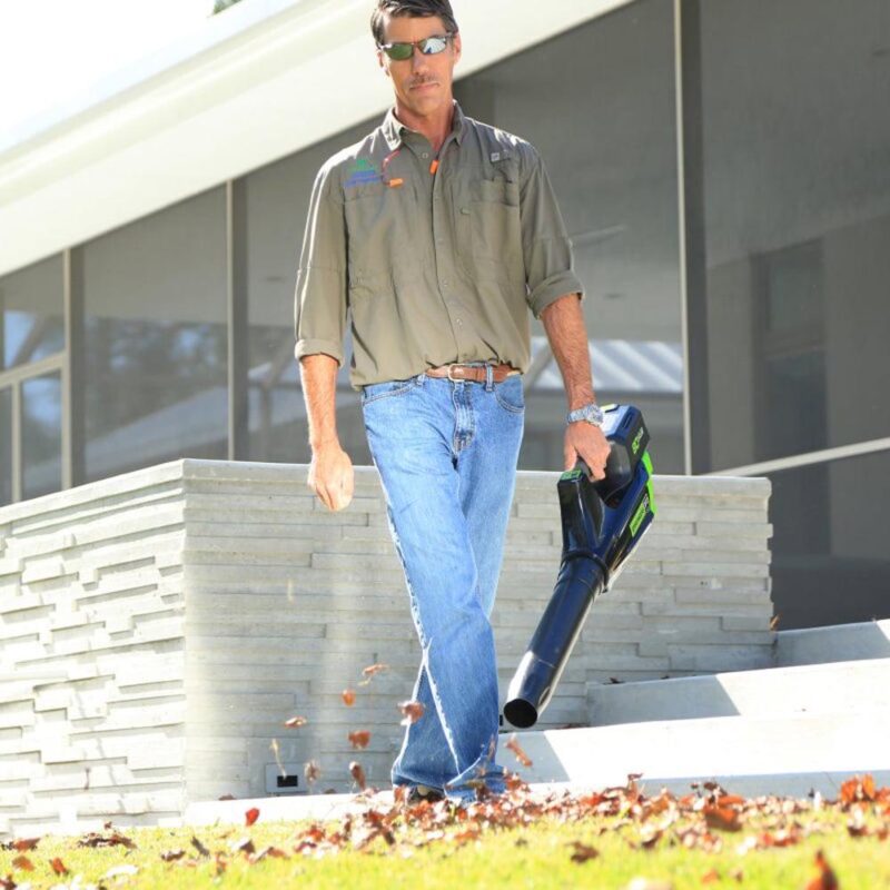 Greenworks 80V 500 CFM at 125 MPH Cordless Blower + 2.0Ah Battery and Charger Included 2400102 - Image 4