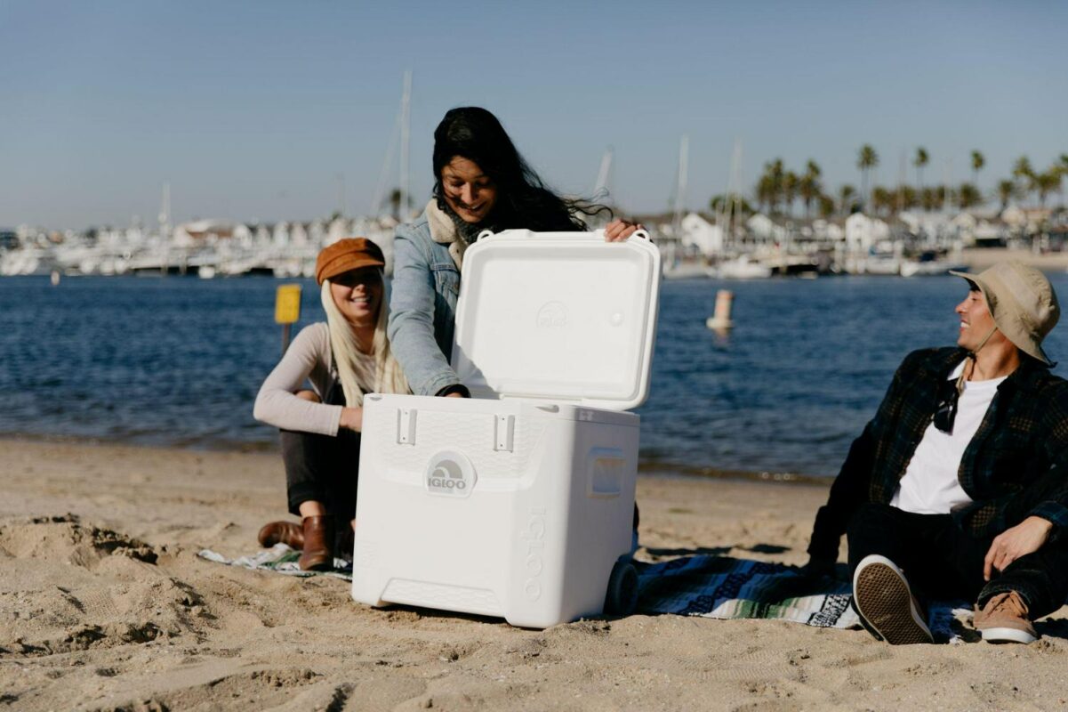 Igloo 52 QT 5-Day Marine Ice Chest Cooler with Wheels, White - Image 5