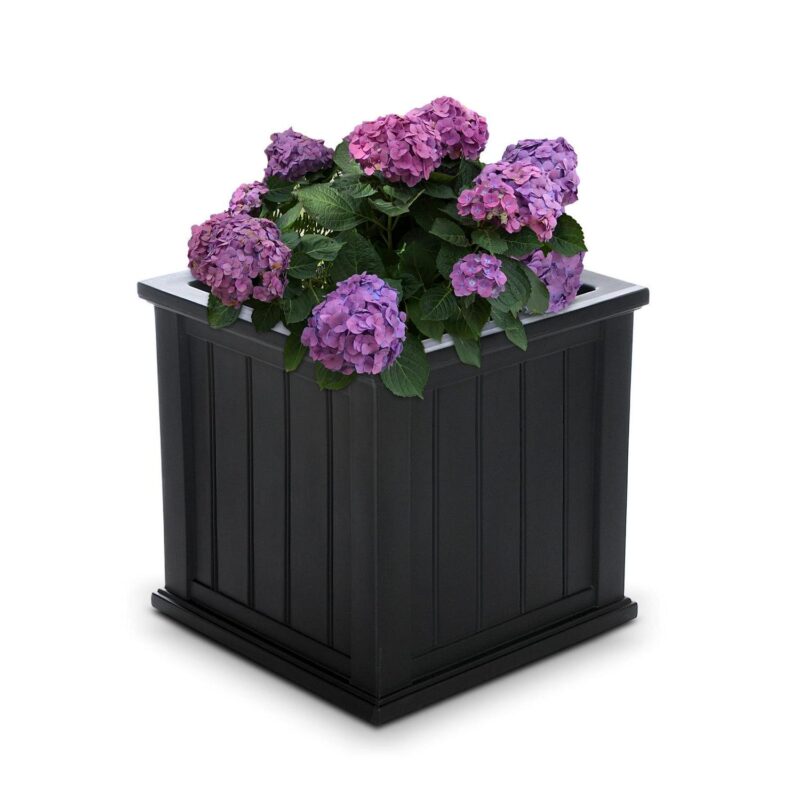 Mayne Cape Cod 20  x 20  x 20  Square Black Self-Watering Polyethylene Planter