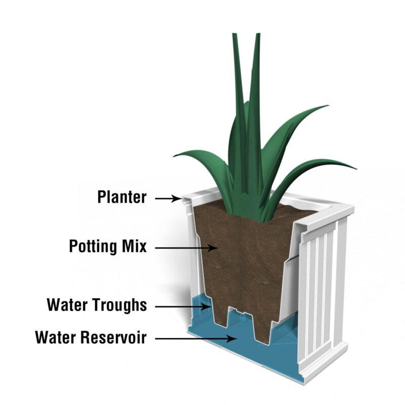 Mayne Cape Cod 20  x 20  x 20  Square Black Self-Watering Polyethylene Planter - Image 5