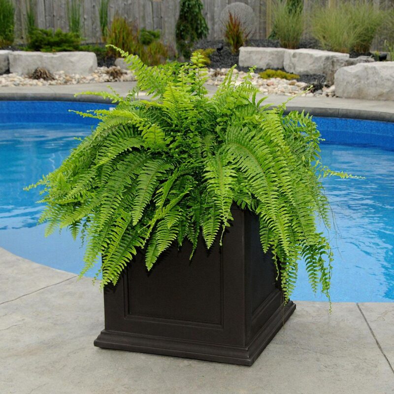 Mayne Fairfield 20x20  Square Traditional Plastic Planter in Black - Image 2