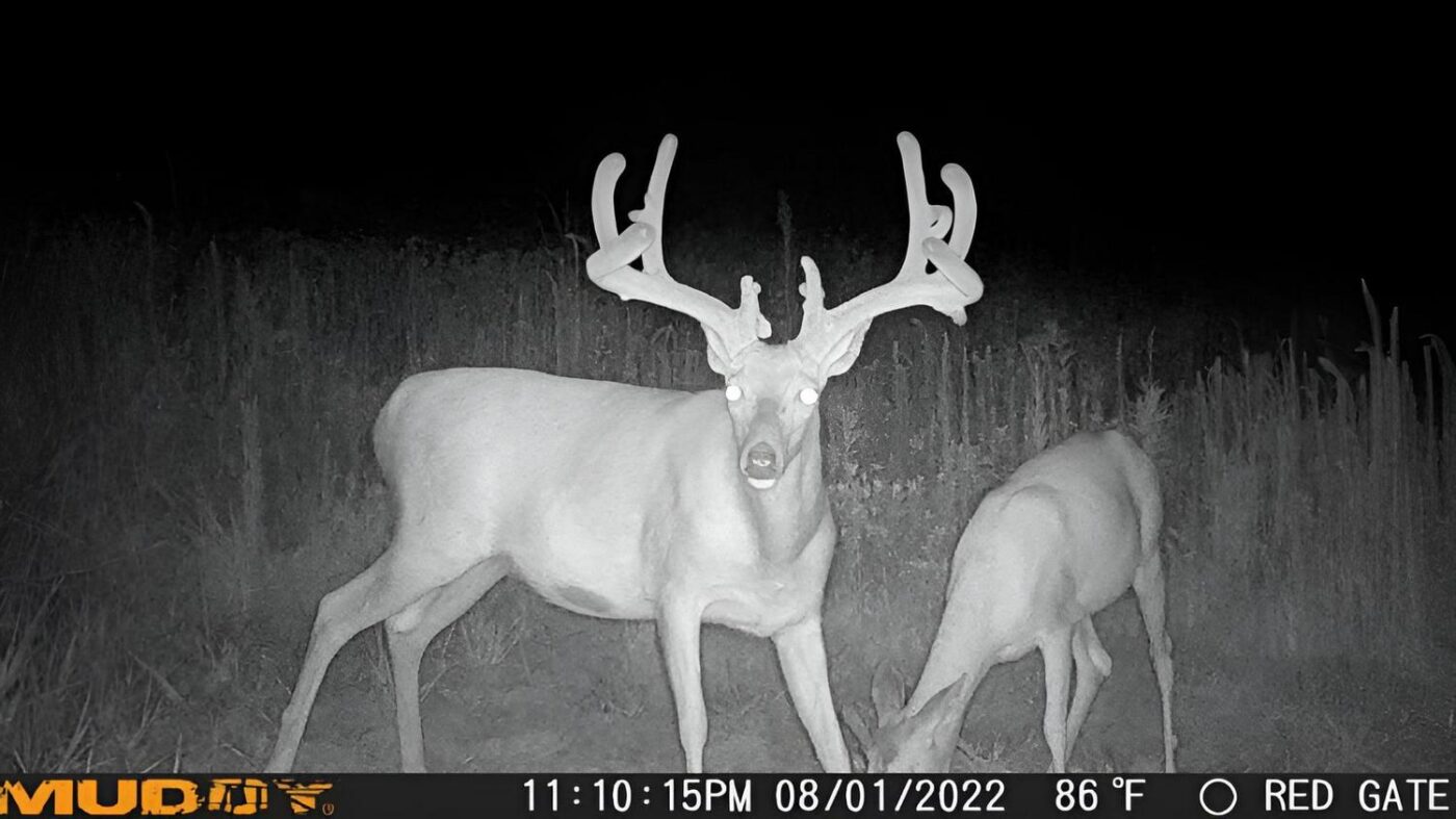 Muddy Matrix Cellular Hunting Trail Camera - Image 5