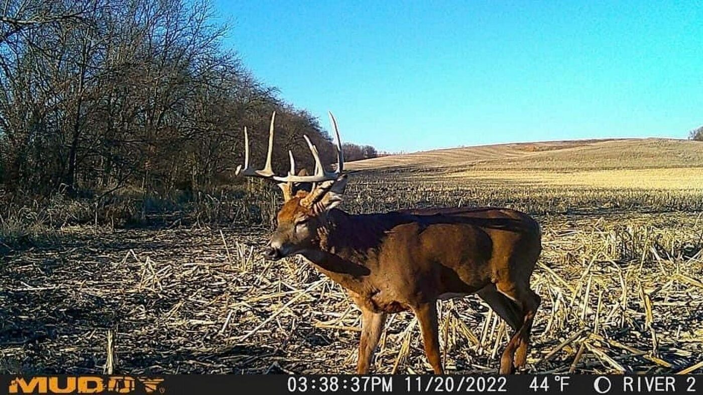 Muddy Mitigator Cellular Trail Camera - Image 3