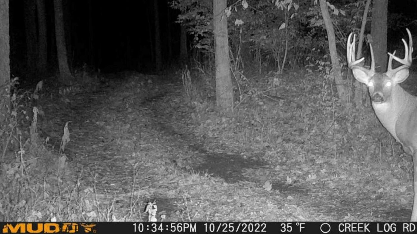 Muddy Mitigator Cellular Trail Camera - Image 4