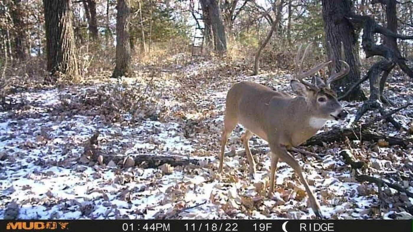 Muddy Mitigator Cellular Trail Camera - Image 9