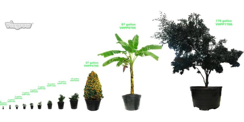 Plastic Garden Nursery Pots, Set of 20 - Image 7