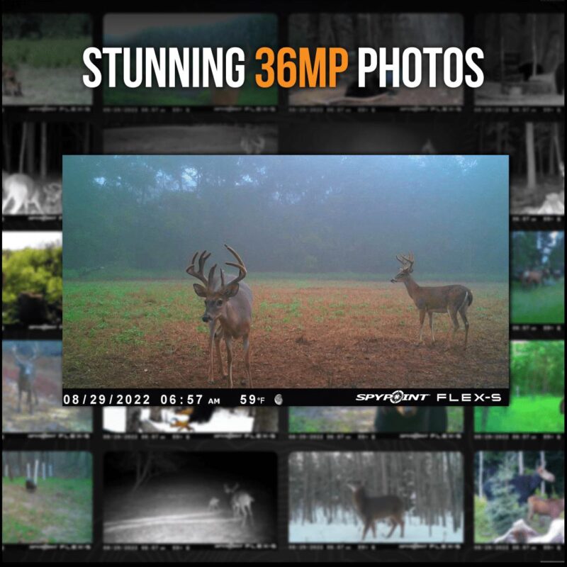 SPYPOINT FLEX-S Solar Outdoor Cellular Trail Camera - 36 MP Photo/1080p Video with Sound - Image 3