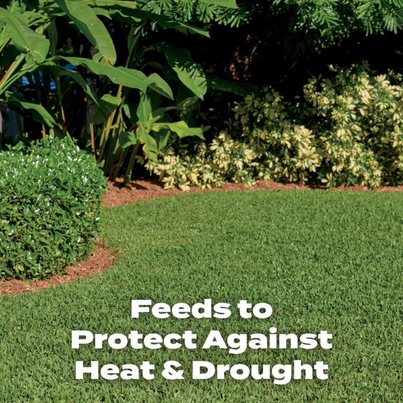 Scotts Turf Builder Southern Lawn Fertilizer, 5,000 sq. ft., 14.06 lb. - Image 8