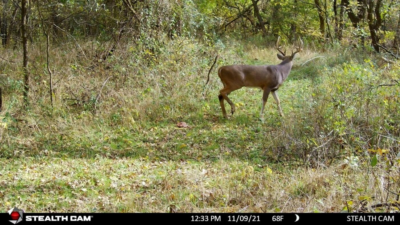 Stealth Cam DS4K Ultimate 32MP 4K Video 30FPS, Hunting Trail Monitor - Image 9