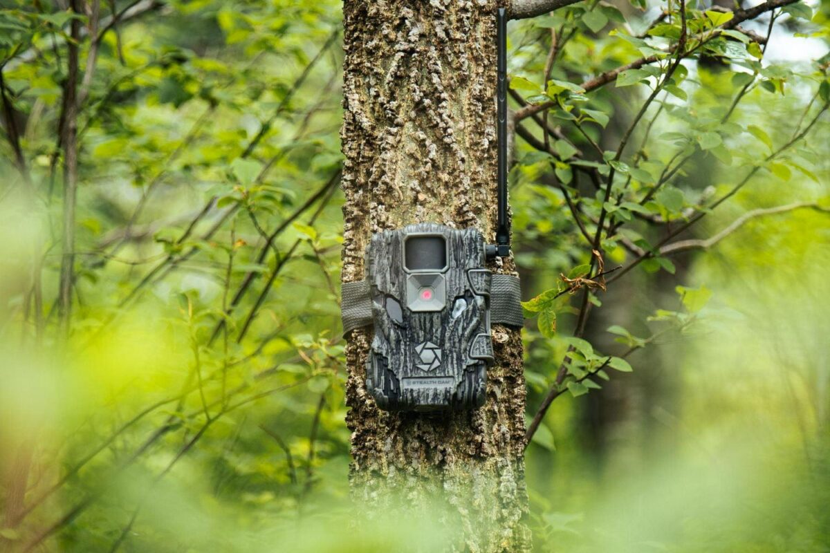 Stealth Cam STC-FVRZWX Fusion X Wireless Camera (Verizon) - Image 6