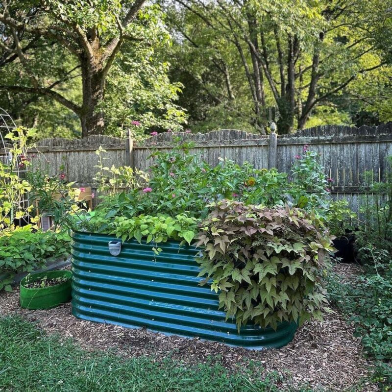 Vego Garden 9.5ft X 2.5ft X 32  10 in 1 Extra Tall Modular Oval Metal Raised Garden Bed for Vegetables, Flowers - British Green - Image 5