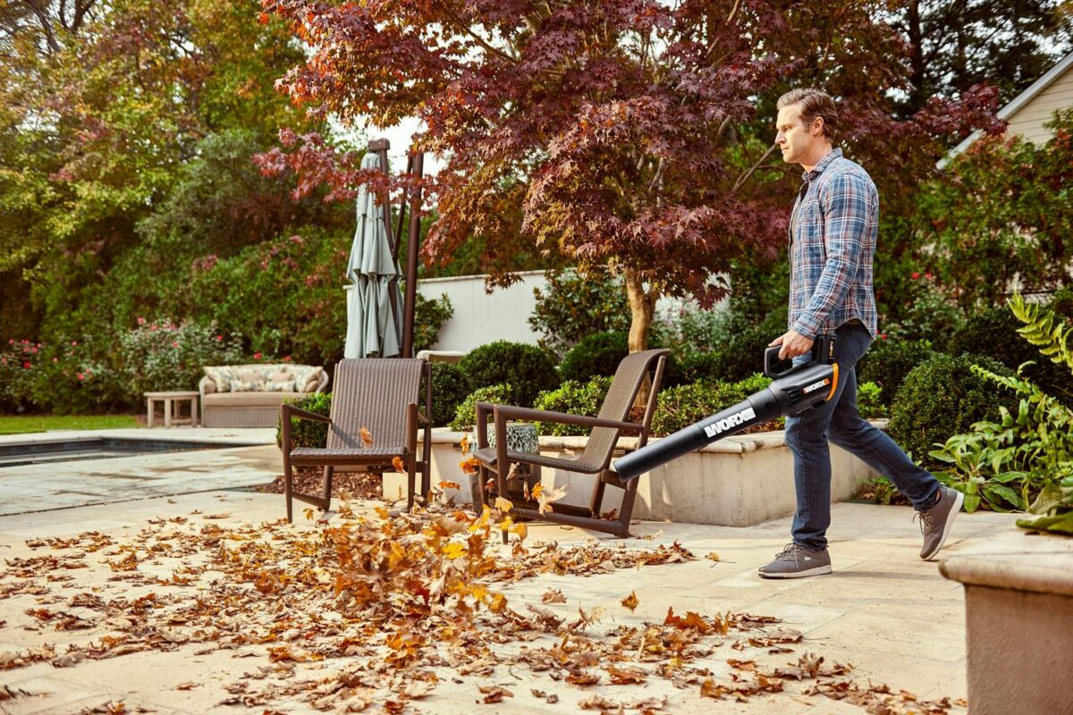 WORX 20V Power Share Turbine Cordless Two Speed Leaf Blower - Image 2