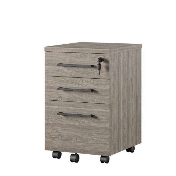 Ameriwood Home Parkside Mobile File Cabinet