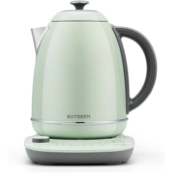 BUYDEEM K740 Electric Kettle, 1.7L, Temperature Control, 12H Keep Warm, Quick Boil, Stainless Steel