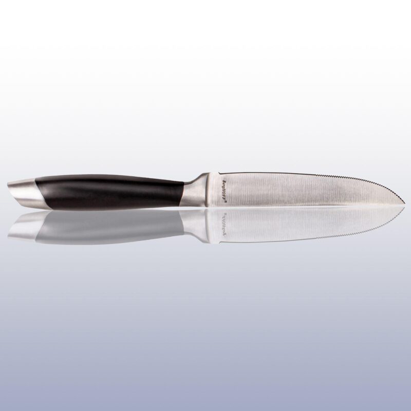BergHOFF Essentials Geminis 12-Piece 4.75  Stainless Steel Steak Knife Set - Image 6