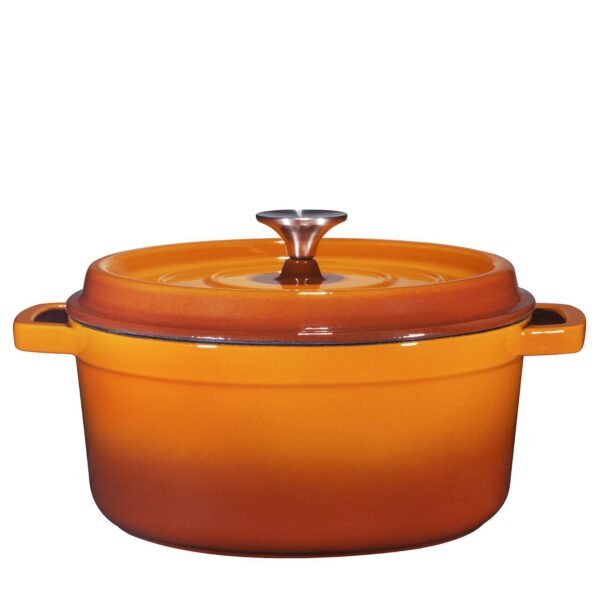 Cast Iron Dutch Oven With Handles And Lid, Cast Iron Skillet With Non Stick Coating