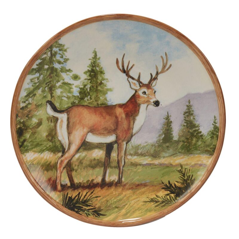 Certified International Mountain Summit 4-piece Dinner Plate Set - Image 5
