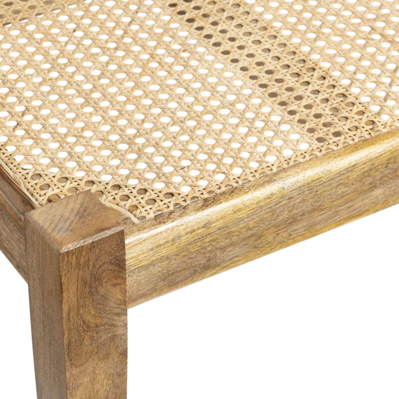 Elena Cane Bench - Image 4