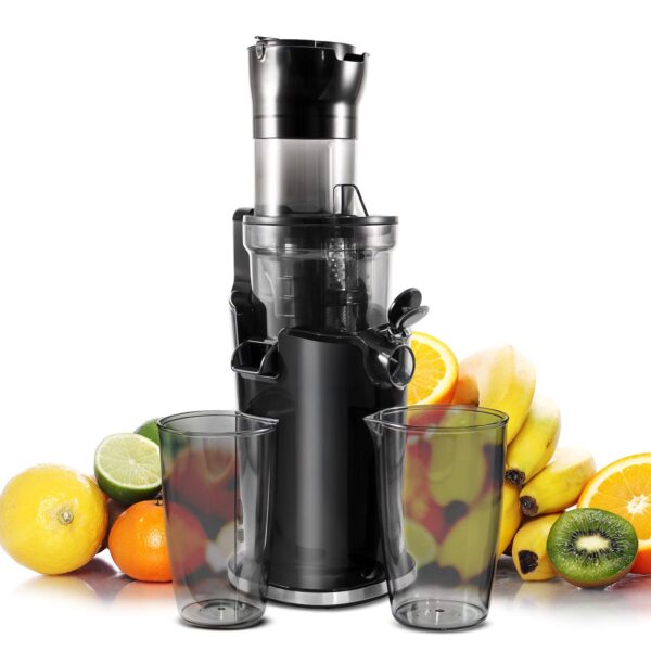 Elite Cuisine Big Mouth Whole Fruit 3  Masticating Cold Press Slow Juice Extractor