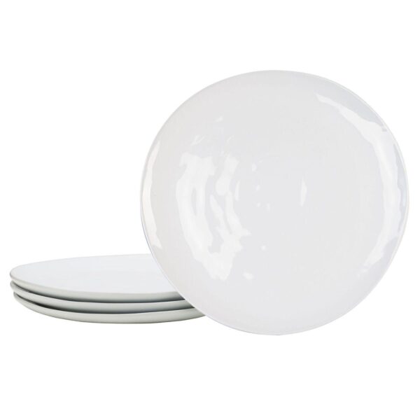 Fitz and Floyd Organic 4-pc. Dinner Plate Set