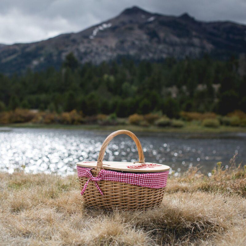 Picnic Time Coca-Cola Country Picnic Basket - Image 2