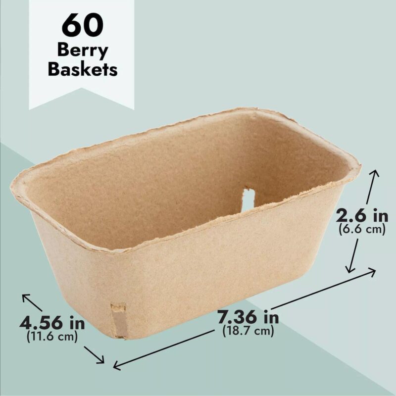 Pulp Fiber Berry Fruit Baskets 60 Pcs - Image 2
