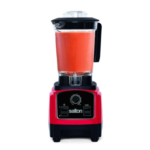 Salton Compact Power Blender 1.2L