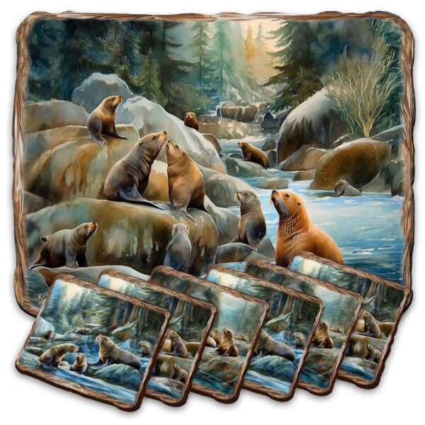 Sea Lion Cave Wooden Cork Placemat And Coasters Gift Set Of 7